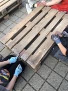 Projekt NOVELIS 2025