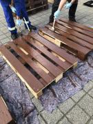 Projekt NOVELIS 2025