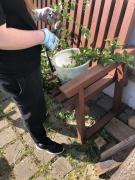 Projekt NOVELIS 2025