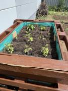 Projekt NOVELIS 2025