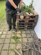 Projekt NOVELIS 2025