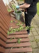 Projekt NOVELIS 2025