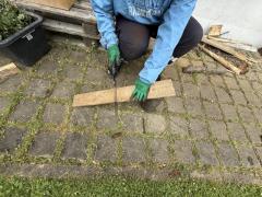 Projekt NOVELIS 2025